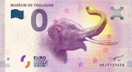 UEJT-2017-1 MUSÉUM DE TOULOUSE 